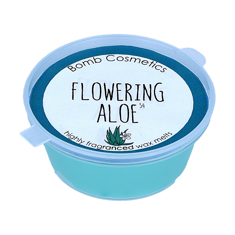 Virágzó aloe Mini Melt 