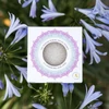 KONJAC SPONGE MANDALA ARCSZIVACS HIDRATÁLÓ ALOE VERÁVAL