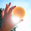KONJAC SPONGE MANDALA ARCSZIVACS SÁRGA KAOLIN AGYAGGAL