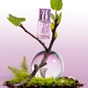 SOLINOTES FIGUIER EDP - FÜGEFA, 15 ml