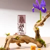 SOLINOTES SANTAL EDP - SZANTÁL, 15 ml