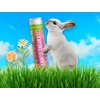 LEAPING BUNNY® Szilvás-sárgabarackos ajakápoló balzsam